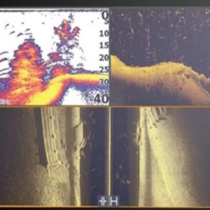 Lowrance eltite fs