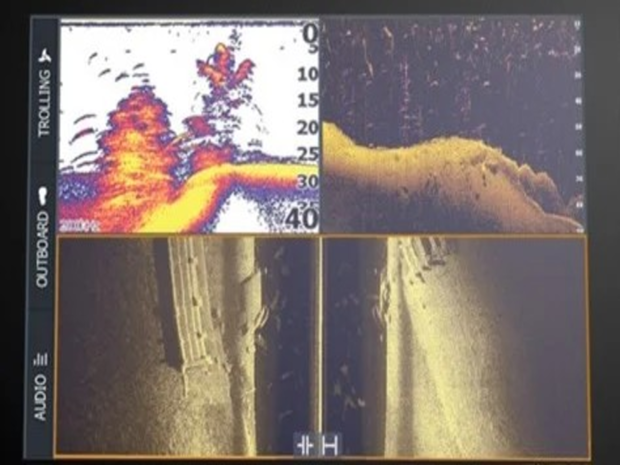 Lowrance eltite fs
